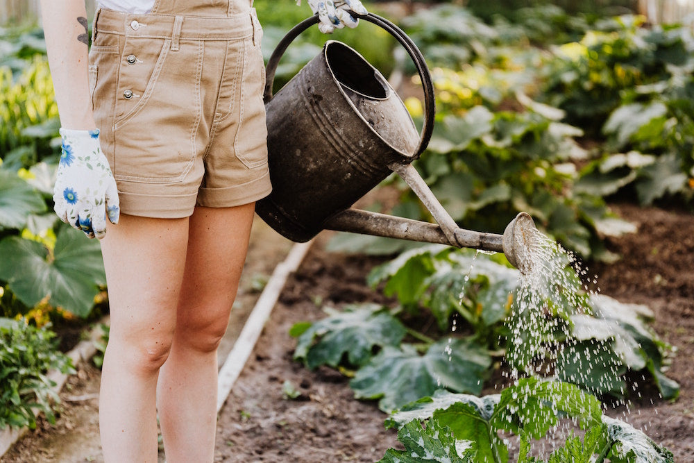 5 fun ways to stay healthy